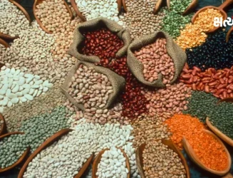 વિશ્વ કઠોળ દિવસ: પોષણ, સ્વાસ્થ્ય અને પર્યાવરણ માટે કઠોળનું મહત્વ અદ્વિતીય