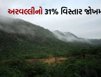 કેન્દ્રની 100 મીટર વ્યાખ્યાને પડકારતી સ્ટડી: અરવલ્લીનો 31 ટકા વિસ્તાર જોખમમાં, ભૂગર્ભ જળ સંગ્રહ પર ગંભીર ખતરો