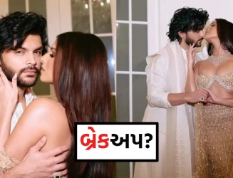 તારા સુતરિયા અને વીર પહારિયાનું બ્રેકઅપ? જાણીતા સિંગરની કોન્સર્ટમાં થયો હતો વિવાદ!