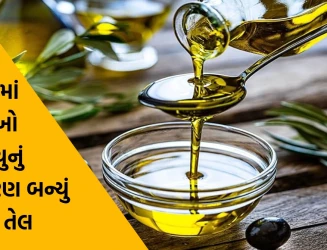 ભારતમાં સૌથી વધુ મૃત્યુનું કારણ બનતું તેલ? રસોઈમાં વપરાતું રિફાઇન્ડ તેલ ચર્ચાના કેન્દ્રમાં