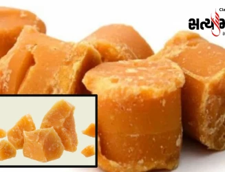 તમારા ઘરમાંનો ગોળ અસલી છે કે ભેળસેળવાળો? માત્ર બે મિનિટમાં ઘરે જ કરો સરળ પરીક્ષણ