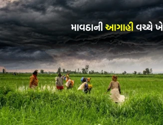 ખેડૂતો સાવધાન! માવઠાની આગાહી બાદ સરકાર એક્શન મોડમાં, પાક સુરક્ષા માટે નવી મહત્વપૂર્ણ માર્ગદર્શિકા જાહેર