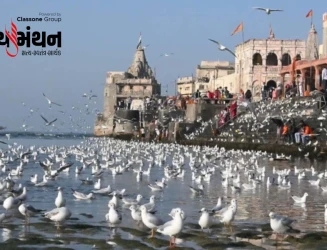 શિયાળો જામતા દ્વારકાની ગોમતી નદી પર વિદેશી સીગલ બર્ડના ઝૂંડે છવાયું કુદરતી સામ્રાજ્ય શિયાળુ સૌંદર્યનું અનોખું દૃશ્ય