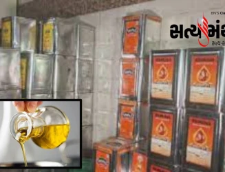 સિંગતેલના ડબ્બા દીઠ રૂ. 50નો સીધો ઉછાળો, કપાસિયા તેલ સહિત અન્ય ખાદ્યતેલો પણ મોંઘા થયાં