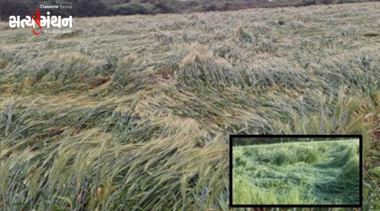 કોડીનાર–સુત્રાપાડા પંથકમાં કુદરતનો કહેર: ફેબ્રુઆરીમાં અષાઢી માહોલ, કમોસમી વરસાદથી ઊભો પાક જમીનદોસ્ત