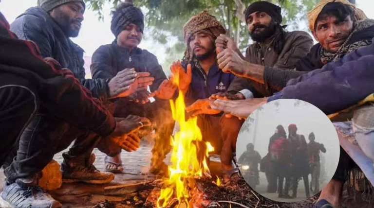 સૌરાષ્ટ્ર-કચ્છમાં કડકડતી ઠંડી યથાવત, નલિયામાં 8 ડિગ્રી, રાજકોટ 10.9, ભુજ-ડિસા 11, ગાંધીનગર 10.8 લઘુતમ તાપમાન આજે નોંધાયું