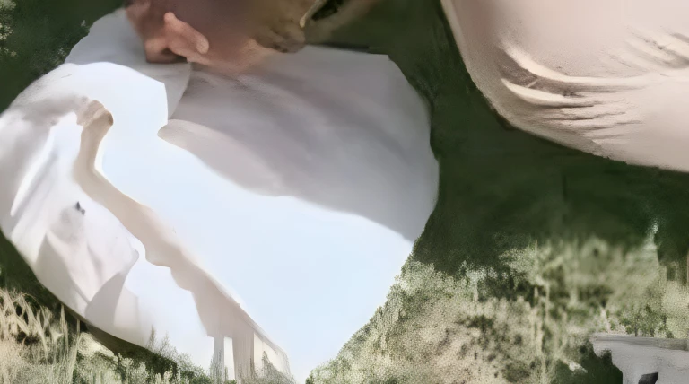 ગોંડલમાં કરૂણ ઘટના: નિષ્ઠુર માતાએ અધૂરા માસે જન્મેલા નવજાત શિશુનો મૃતદેહ પ્લાસ્ટિકની થેલીમાં કચરામાં ફેંકી દીધો