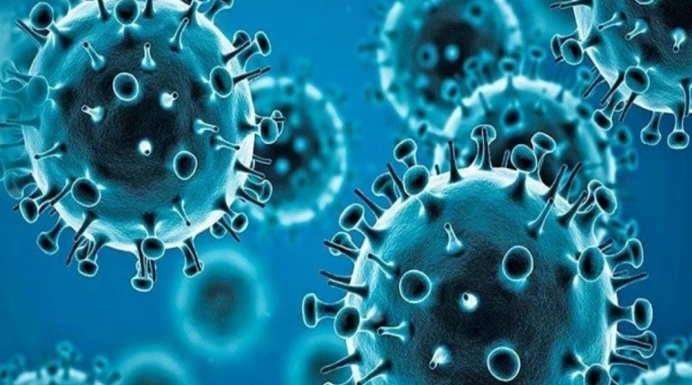 ગુજરાતમાં ઈન્ફ્લૂએન્ઝાનો વધતો ખતરો: કોરોના કરતાં ઊંચો મૃત્યુદર, પ્રદૂષણ અને હવામાન પરિવર્તન બન્યા મોટાં કારણ