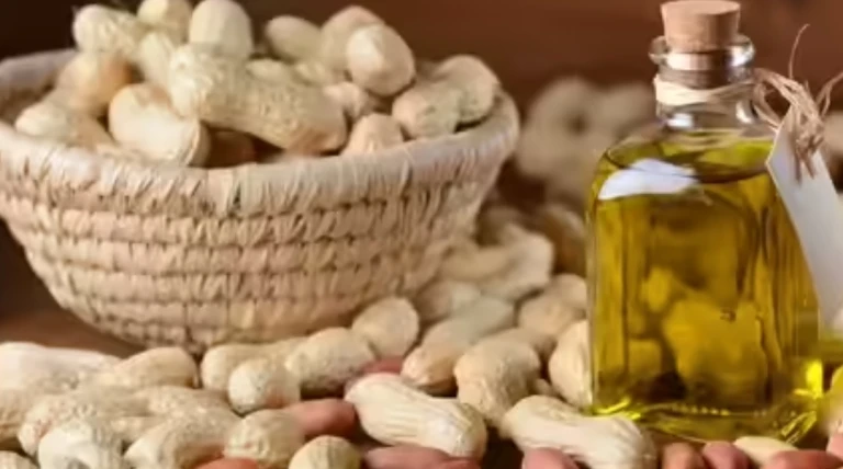 મગફળીનો મબલખ પાક છતાં સિંગતેલના ભાવમાં ઉછાળો, ડબો 2500 રૂપિયા પાર