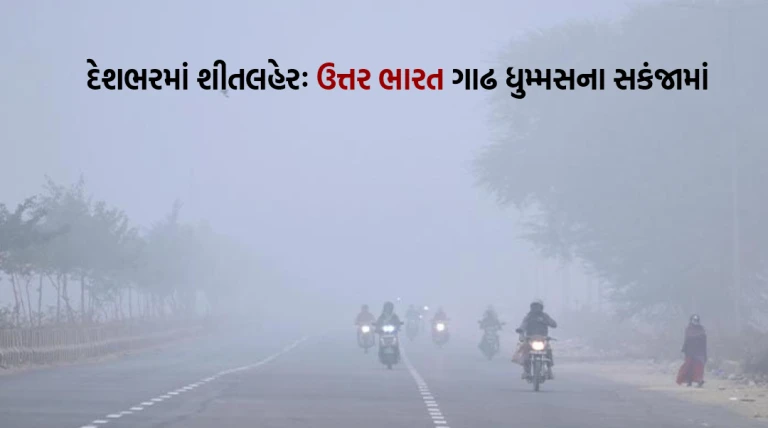 દેશભરમાં શીતલહેરનો કહેર: ઉત્તર ભારત ગાઢ ધુમ્મસના સકંજામાં, યુપીની સ્કૂલોમાં રજા, MP-ઝારખંડમાં કાતિલ ઠંડી