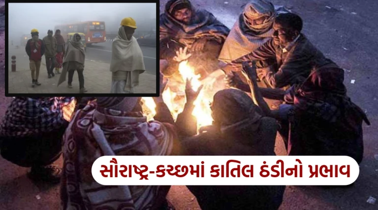 સૌરાષ્ટ્ર-કચ્છમાં કાતિલ ઠંડીની લપેટ: કચ્છ હિમગાર, નલિયા 4.8, રાજકોટ 9.8, અમરેલી 8.6 ડિગ્રી