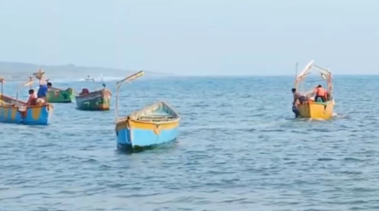 ગુજરાતના માછીમારો 'દરિયાની દીકરી' વ્હેલ શાર્ક માટે બની સંરક્ષક: શિકારથી સંરક્ષણ સુધીની પ્રેરણાદાયક યાત્રા