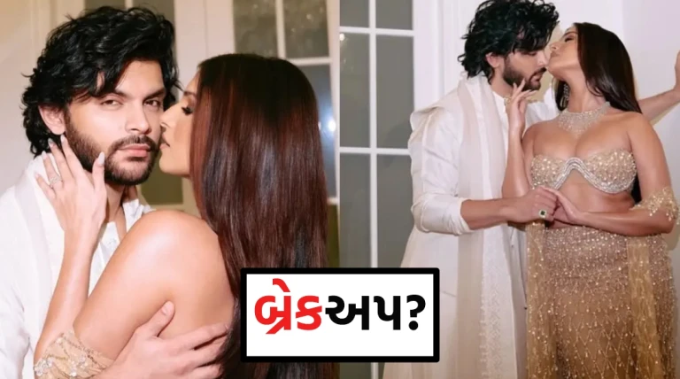 તારા સુતરિયા અને વીર પહારિયાનું બ્રેકઅપ? જાણીતા સિંગરની કોન્સર્ટમાં થયો હતો વિવાદ!