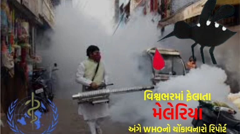 મેલેરિયાથી 6.10 લાખના મોત, 28.2 નવા કેસ, બે ટેકનિકથી 10 લાખને બચાવાયા : WHOનો 2024નો રિપોર્ટ