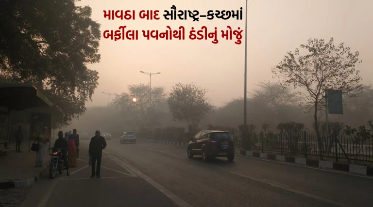 માવઠા બાદ સૌરાષ્ટ્ર-કચ્છમાં ઉત્તર-પૂર્વના બર્ફીલા પવનોથી ઠંડીનું મોજું, નલિયા 10.8 ડિગ્રી, રાજકોટ 14 લઘુતમ તાપમાન નોંધાયું આજે