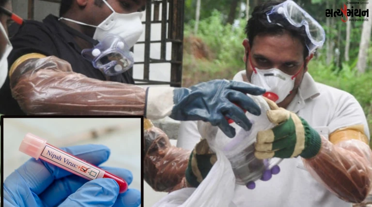 બંગાળમાં નિપાહ વાઈરસનો ખતરો વધ્યો: વધુ 3 કેસ નોંધાતા ફફડાટ, 120થી વધુ લોકો હોમ આઈસોલેશનમાં