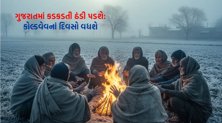ગુજરાતમાં કડકડતી ઠંડી આવશે: હવામાન વિભાગની ચેતવણી, કોલ્ડવેવના દિવસો પણ વધશે