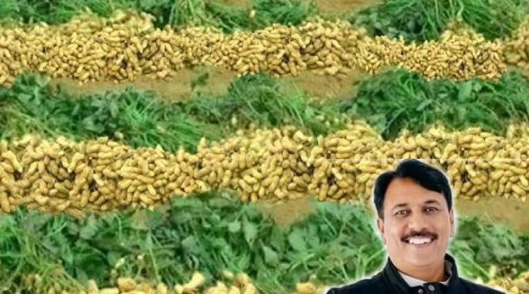 વરસાદથી નુકસાન, ટેકાના ભાવે ખરીદી નહીં — ખેડૂતો માટે કોંગ્રેસ લડતના મૂડમાં